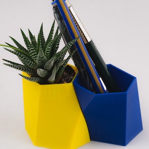 Par de Scutoid Succulent Planter&Pen Holder, Regalo de Navidad personalizado para un amigo, Organizador de escritorio impreso en 3D, Maceta de aire imagen 2