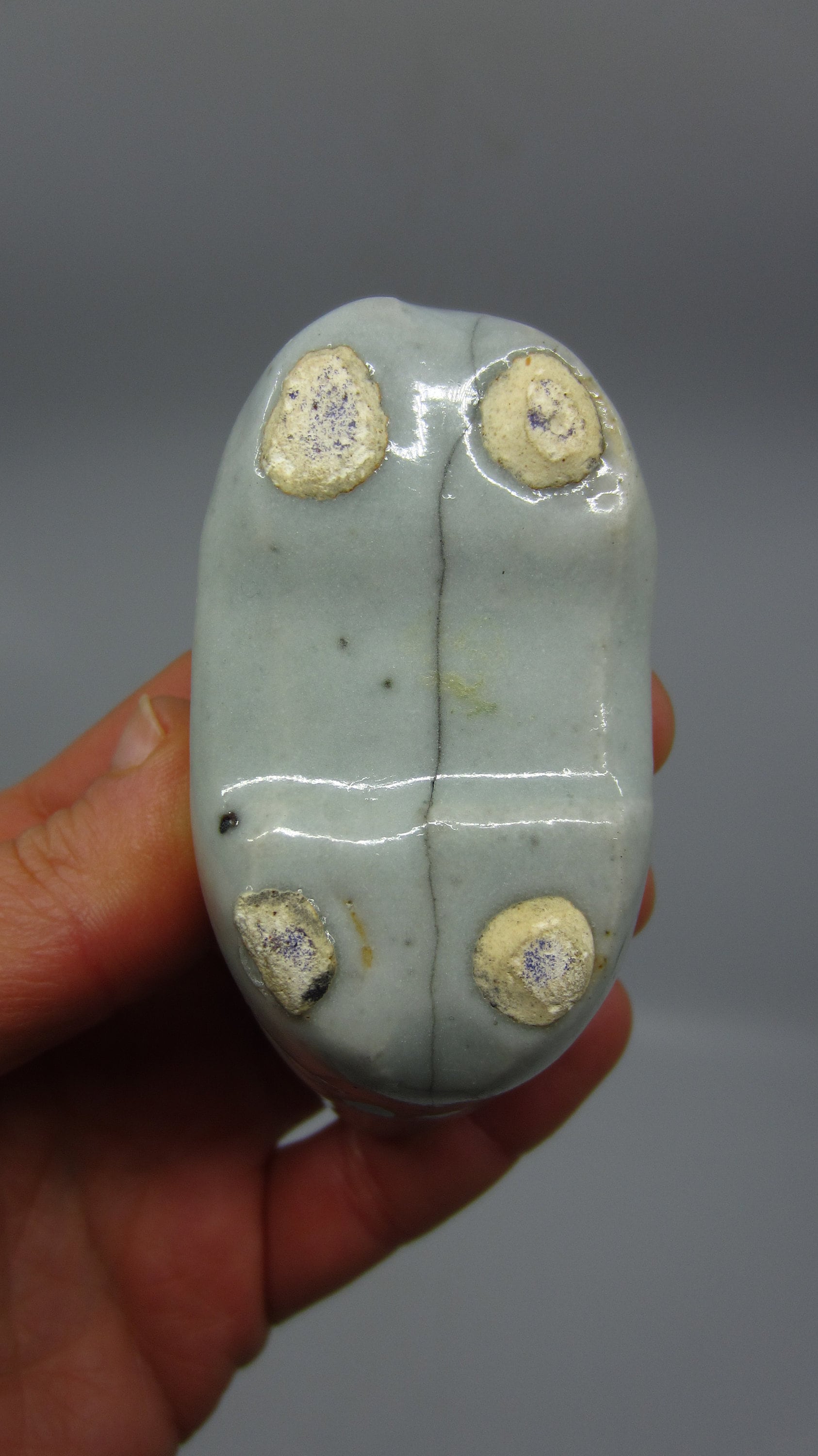 アンティークの中国/韓国の青磁陶器の水差し、かわいい神話上の動物の