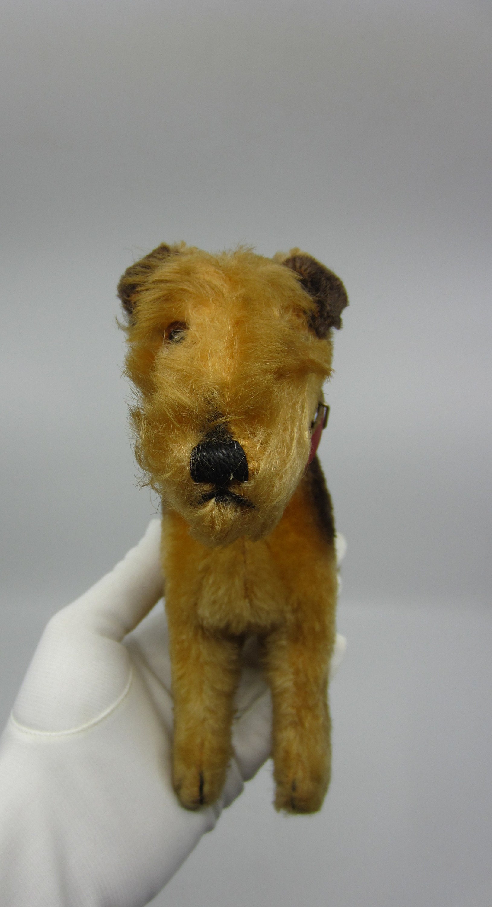 Vintage German Steiff Airedale Terrier Terry Toy Dog 23 Cm