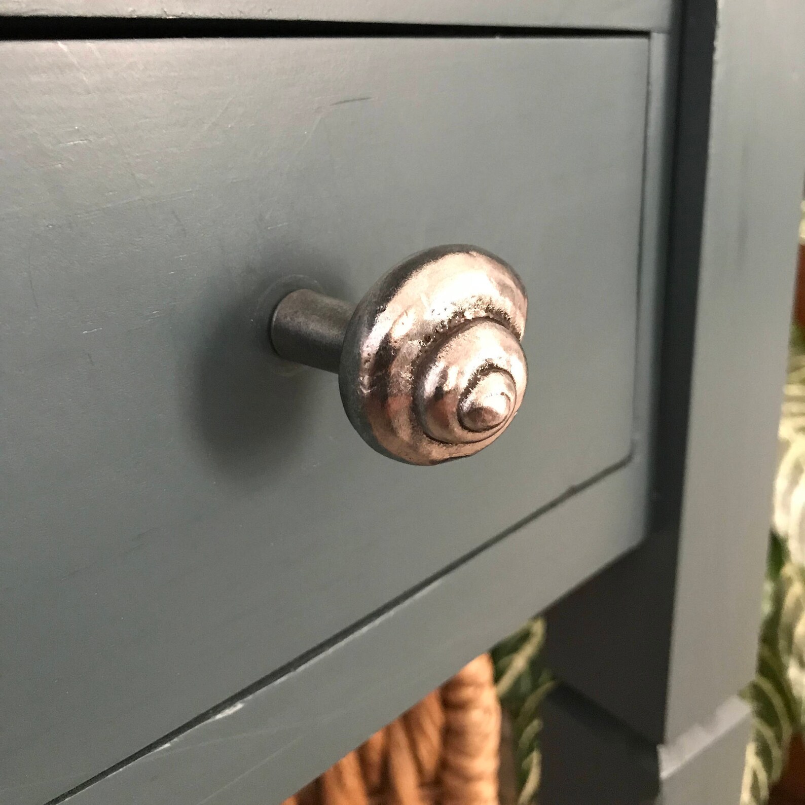 Nautilus 1 Knob Seashell Drawer Pull Coastal Pull Etsy