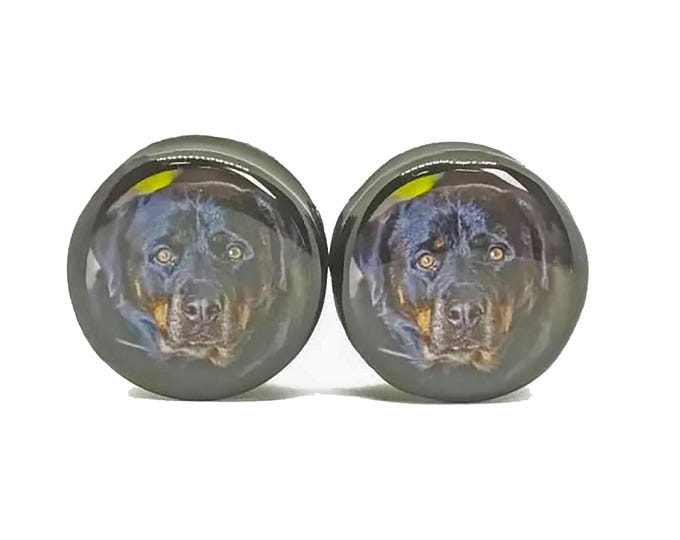 Pet Plugs