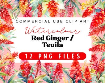 Watercolour Red Ginger Teuila Flower Transparent PNG Files
