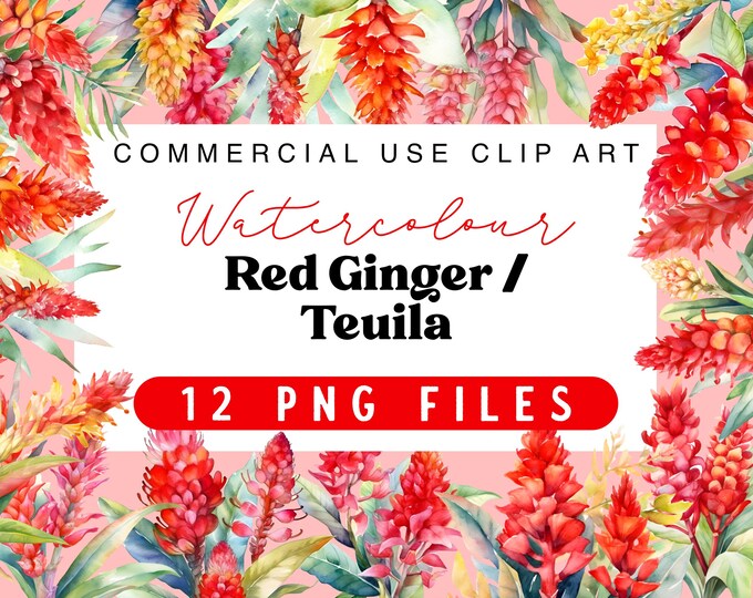 Watercolour Red Ginger Teuila Flower Transparent PNG Files