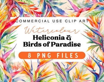 Watercolour Heliconia and Birds of Paradise Transparent PNG Files