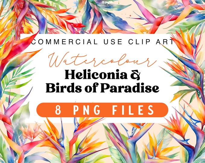 Watercolour Heliconia and Birds of Paradise Transparent PNG Files