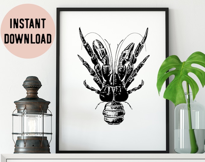 Digital Monochrome Coconut Crab Print