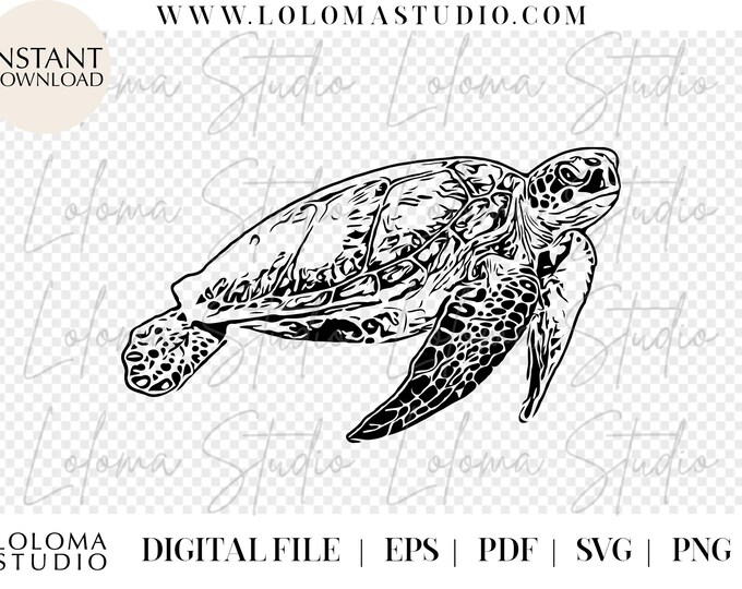 Sea Turtle SVG Design - Moana, Pacific Islands, Tropical Cricut Design, Ocean Animals, South Pacific