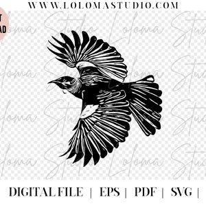 Aotearoa Nz Tui Bird SVG Design - arquivo de corte SVG, arte polinésia, design cricut, arquivos SVG para cricut, png, eps, pdf, nova zelândia svg, maori