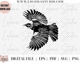 Aotearoa Nz Tui Bird SVG Design - SVG cut file, polynesian art, cricut design, SVG files for cricut, png, eps, pdf, new zealand svg, maori