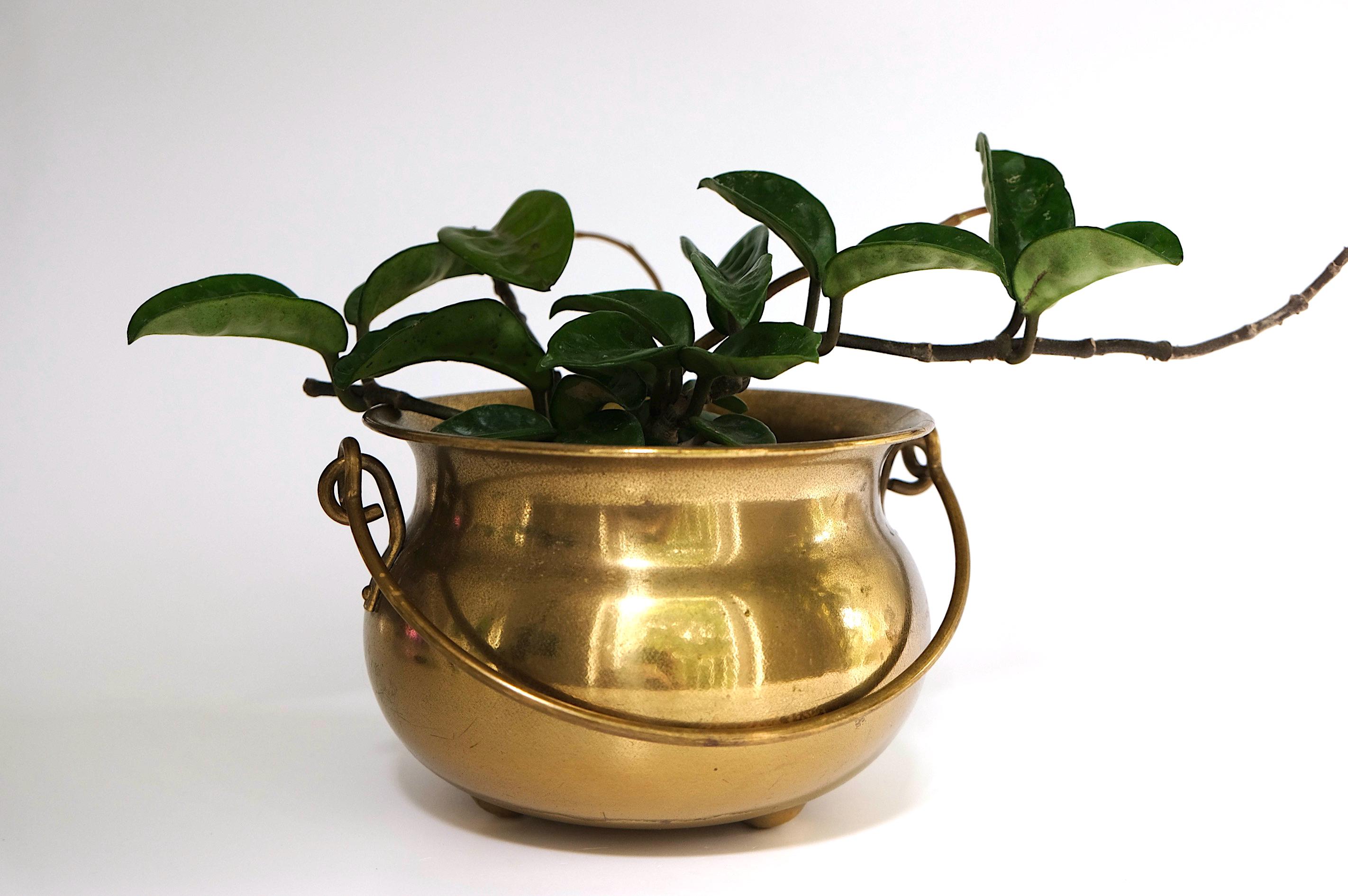 Vintage brass witch's cauldron, sweet as sugar! Tripod flowerpot planter French country home decor floral pot cachepot