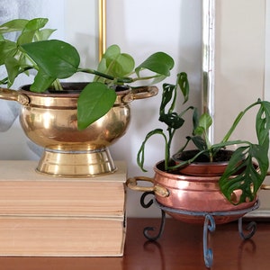 Pode incluir: Duas plantas em vasos, uma em um vaso de latão em cima de uma pilha de livros e a outra em um vaso de cobre em um suporte de metal preto.