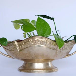 Art Deco/Nouveau solid brass jardiniere with handles, large! Tub, bowl, box, flowerpot, planter, vase, cachepot, antique, vintage
