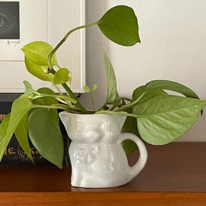 Op de afbeelding: Een witte keramische plantenpot in de vorm van een kat met een groene, bladerige plant erin. De pot heeft een handvat aan de zijkant.