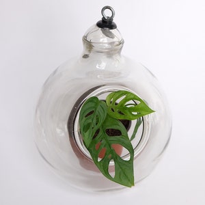 Vintage Glass Hanging Basket Hanging Vase Air Plant Plant Pot Vase Terrarium hanging planter pot