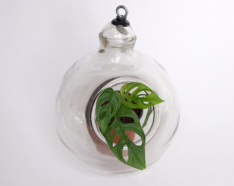 Terrarium Hängeampel Ampel Hängevase Air Plant Pflanztopf Vase Glas vintage  handblown hanging planter pot wall pocket