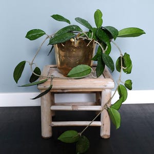 Bambus blumenstnder - Etsy.de