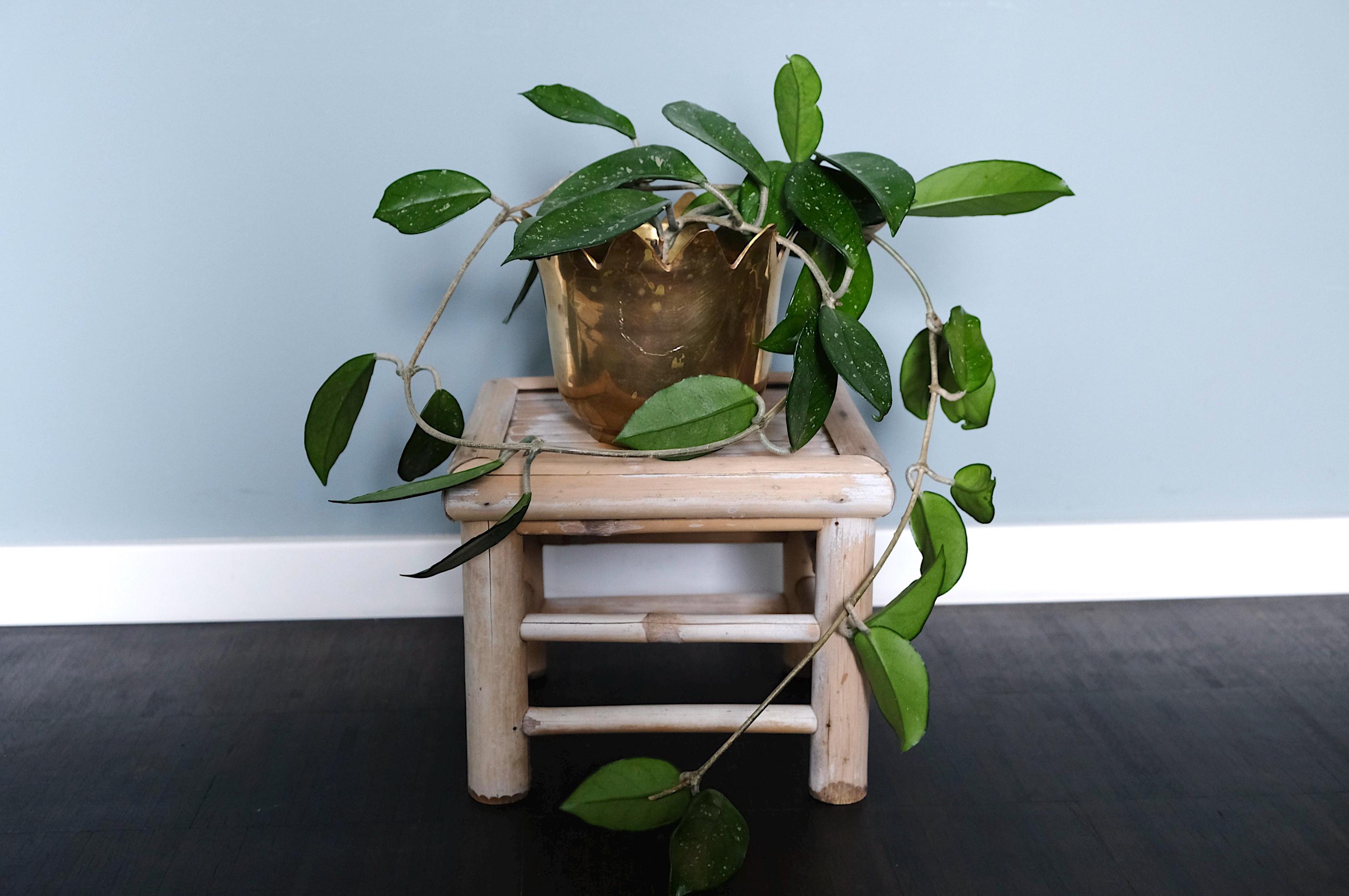 Bambus blumenstnder - Etsy.de