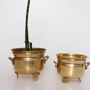 Peut inclure: Deux jardinières antiques en laiton avec trois pieds décoratifs et de petites poignées. Une jardinière contient une plante verte. Les jardinières ont une finition dorée brillante et sont posées sur un fond blanc.
