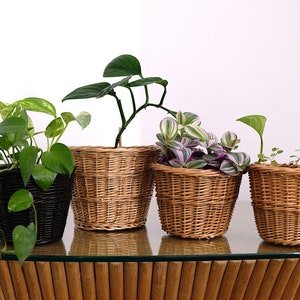 Puede incluir: Cuatro plantas en macetas en cestas tejidas. Las cestas son marrones y las plantas son verdes y moradas.