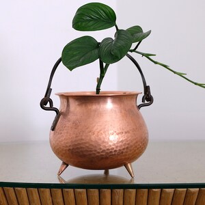 May include: A copper pot with a hammered finish and a black metal handle, used as a planter for a green plant with large leaves.