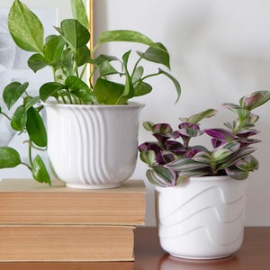 May include: Two white ceramic planters with wavy designs. The planter on the left is taller and has a green plant with variegated leaves. The planter on the right is shorter and has a purple and green plant with striped leaves. Both planters are on a stack of two books.