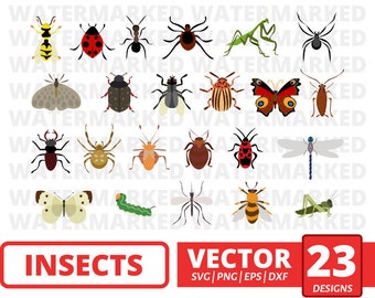Download Roach Svg Etsy