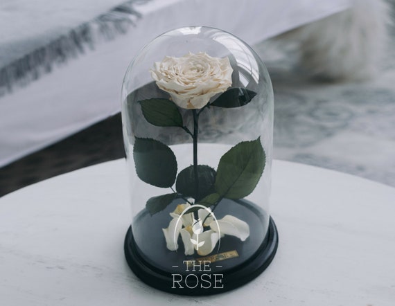 Beauty Beast Rose Mothers Day Gift Gift For Mom Rose In Etsy