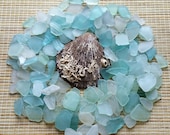 7oz 1lb Genuine Sea Glass Hand-picked from the Sea of Japan Bulk sea glass light blue seafoam white. 0.8-1.2 in Beach glass. 417