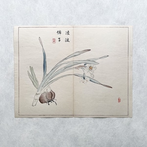 Impressão em xilogravura japonesa original. Taki Katei - Narciso. (1894)