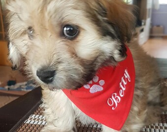 Small dog bandana with paw and name