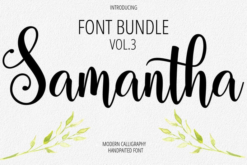 Font Bundle Digital font Calligraphy Handwritten Script image 0.