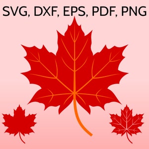 Maple Leaf SVG Datei für Cricut, Fall Leaf Clipart, Kanada Ahorn Blätter DXF, Kanada Ahorn Blatt Silhouette, Herbst SVG, Herbst druckbar