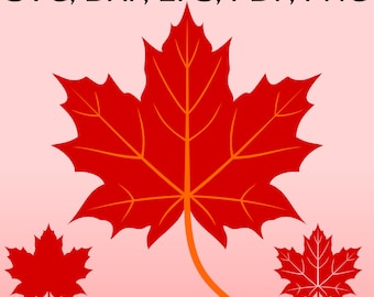 Maple Leaf SVG File for Cricut, Fall Leaf clipart, Canadian Maple Leaves DXF, Canada Maple Leaf Silhouette, Autumn SVG, Fall printable