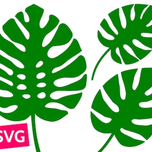3 Monstera Leaf SVG files for Cricut, SVG Bundle Monstera leaves SVG, Tropical leaf svg, Tropical leaves svg, Monstera svg, Monstera clipart