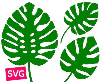 3 Monstera Leaf SVG files for Cricut, SVG Bundle Monstera leaves SVG, Tropical leaf svg, Tropical leaves svg, Monstera svg, Monstera clipart