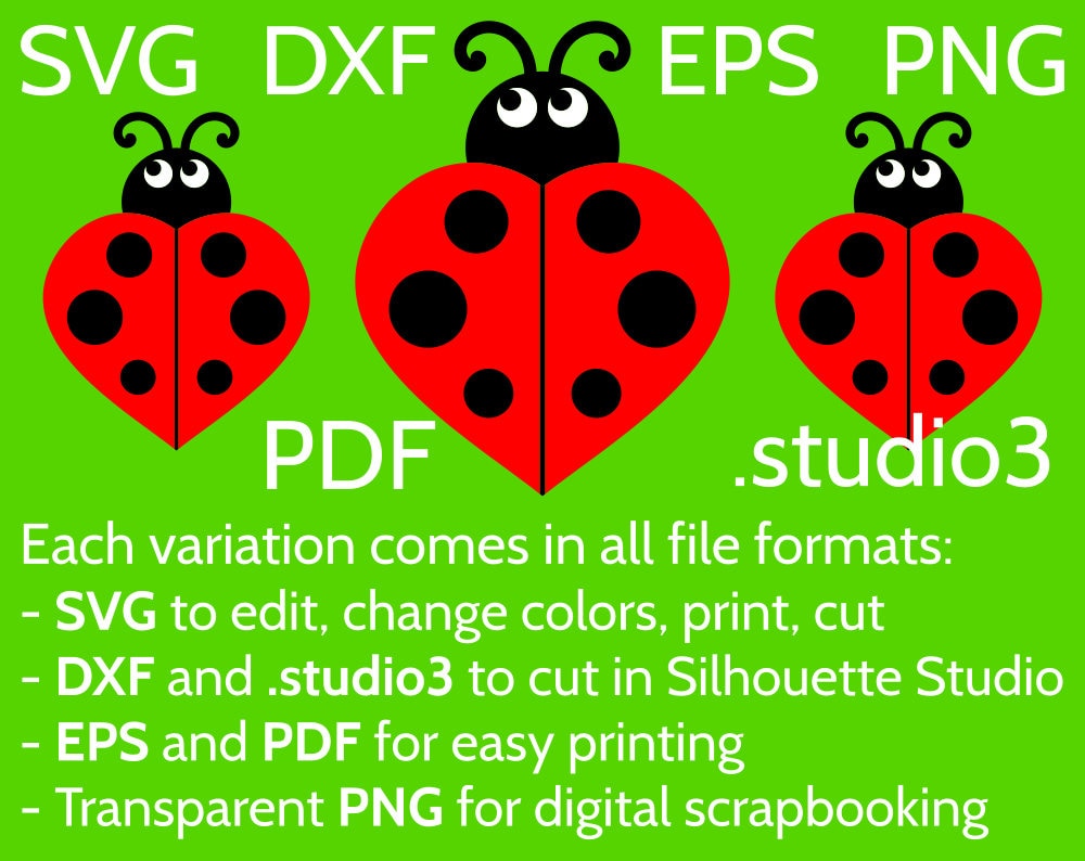 Lady Bug SVG, PNG, DXF. Instant download files for Cricut Design Space,  Silhouette, Cutting, Printing, or more