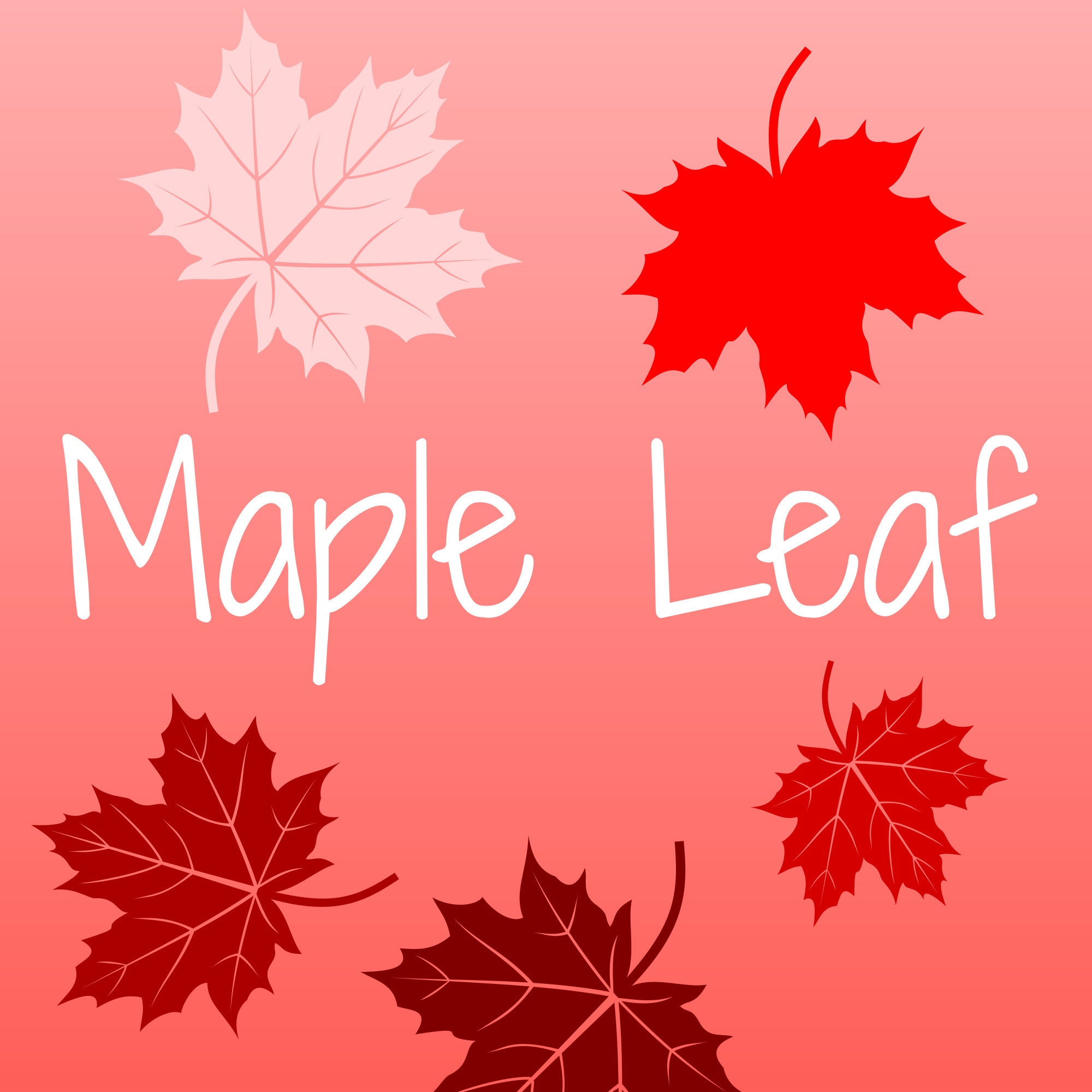 Fall Leaf Vector Collection 1 - Red - Maple Leaf PNG Images