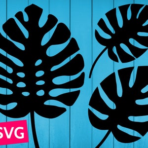 Op de afbeelding: Drie zwarte silhouetbeelden van monstera bladeren tegen een blauwe achtergrond. De bladeren zijn in een eenvoudige, platte stijl, zonder details of schaduw.
