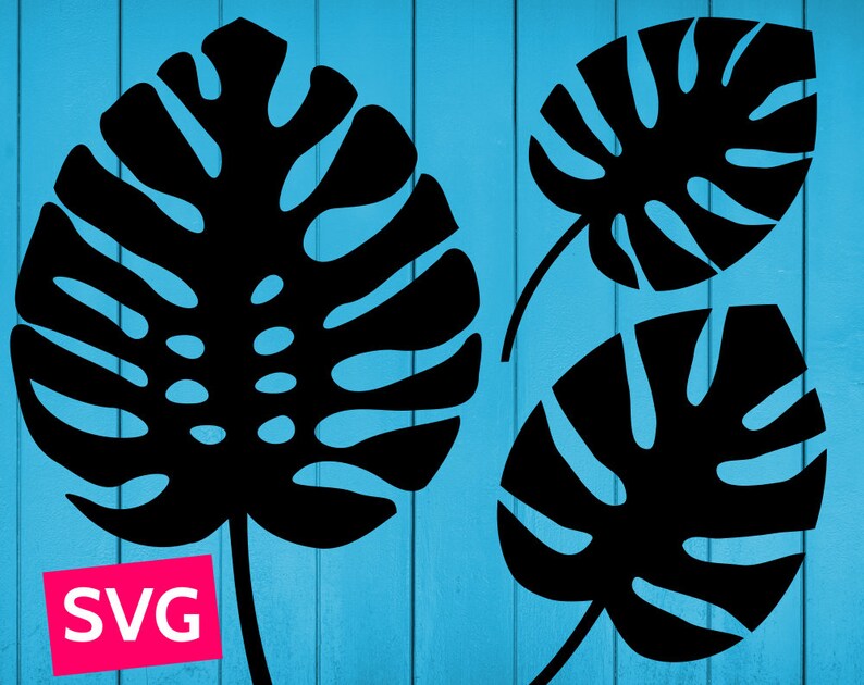 Op de afbeelding: Drie zwarte silhouetbeelden van monstera bladeren tegen een blauwe achtergrond. De bladeren zijn in een eenvoudige, platte stijl, zonder details of schaduw.