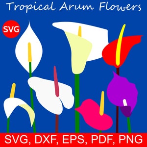 7 Arum Lilies SVG Tropische Blumen, Arum Lilily SVG Dateien für Cricut, Druckbare Blumen Clipart, Tropische Papier Blumen svg Schnittdateien Vorlage