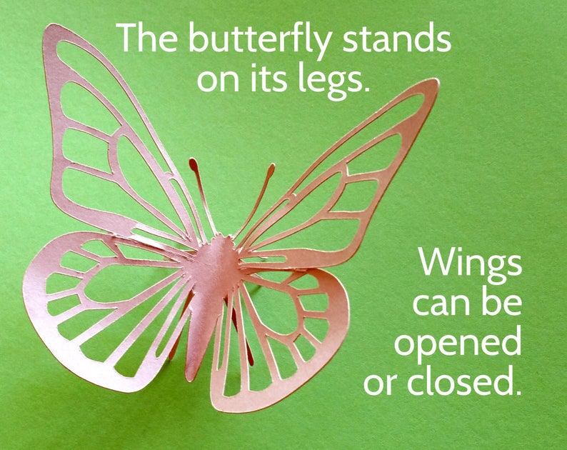 Download Stunning SVG Butterfly 3D or 2D. Cricut & Silhouette cut ...