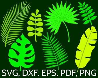 7 Jungle Tropical Leaves SVG Cut Files for Cricut / Silhouette. Monstera, Banana & Palm Leaf, Summer Green Vector Clipart DXF EPS png file