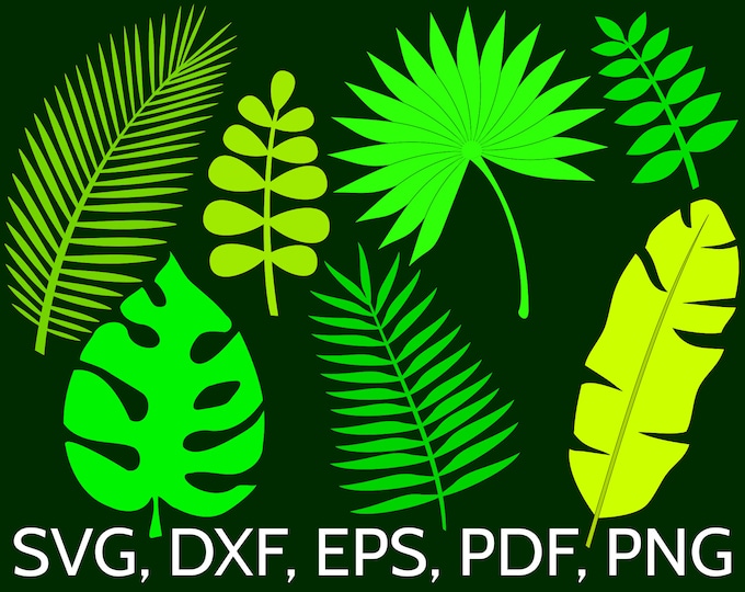 Featured listing image: Set of 7 Jungle Tropical Leaves SVG Files for Cricut / Silhouette: Monstera, Banana, Palm Leaf clipart, perfect for a tropical wall decor