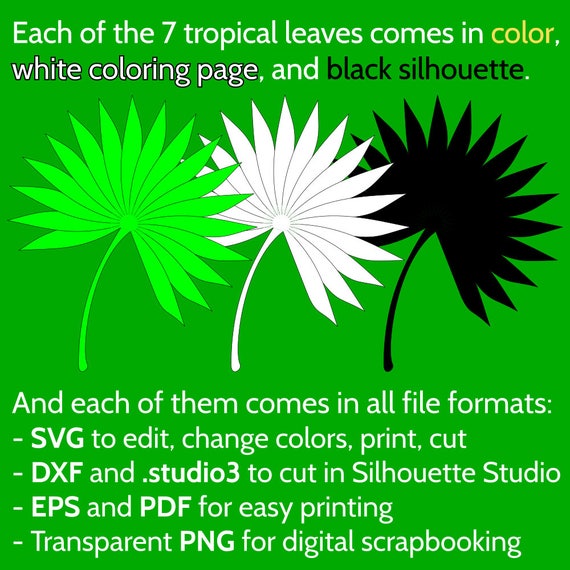 Download Free 7 Jungle Tropical Leaves Svg Cut Files For Cricut Etsy SVG Cut Files