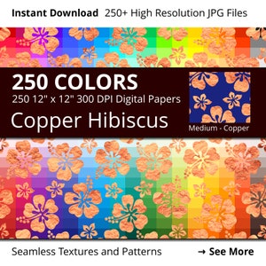 Hibiscus Flowers Copper Digital Paper Pack, Rainbow Colors Digital Paper Copper Hibiscus Pattern, Copper Floral Digital Papers Hawaiian