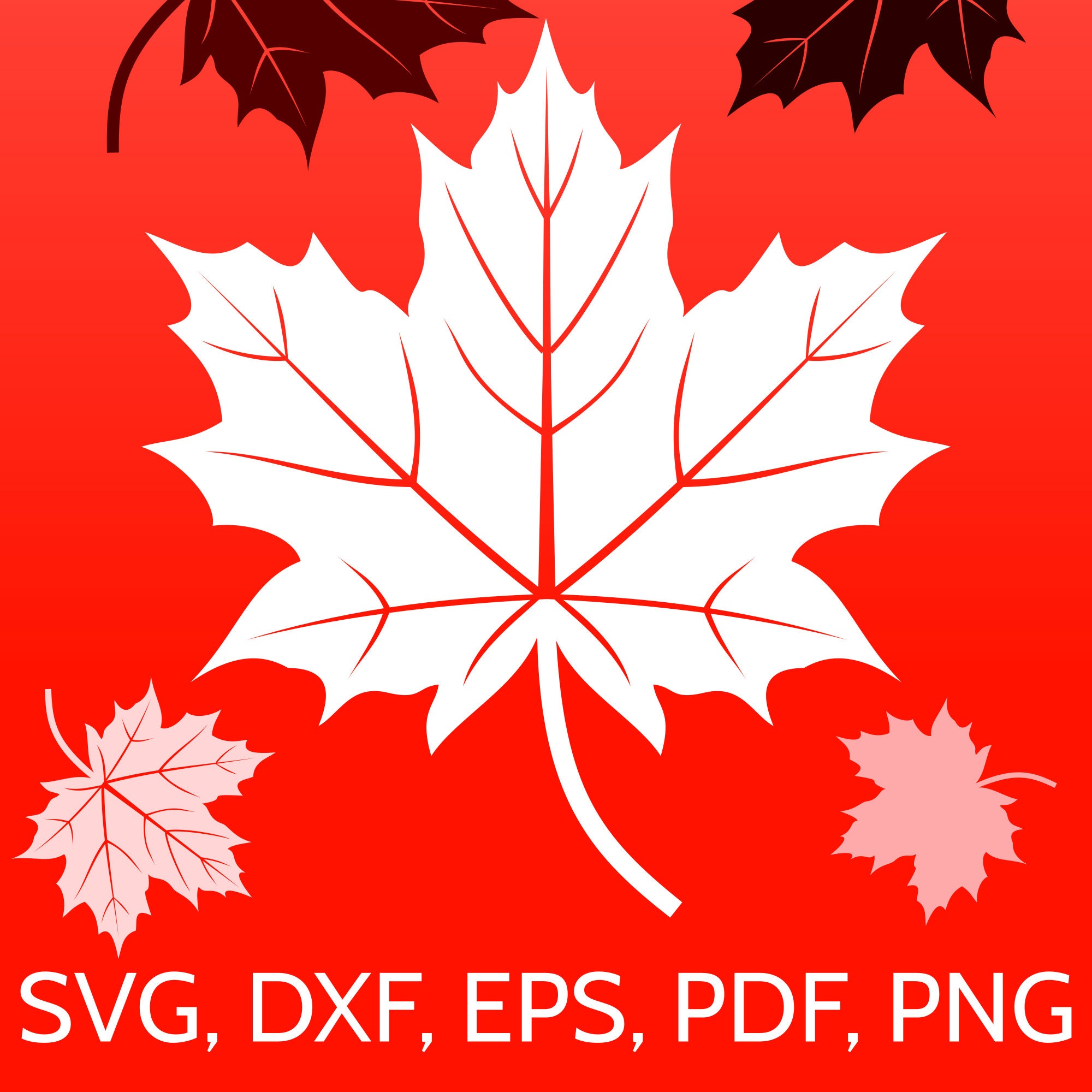 Canadian Maple Leaf Bundle Svg, Maple Graphic by RedCreations