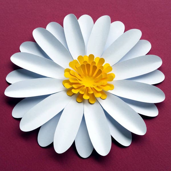 Easy DIY Daisy / Gerbera Paper Flower Template SVG and PDF to cut with a Cricut or Silhouette or print and handcut. Daisies Digital Tutorial