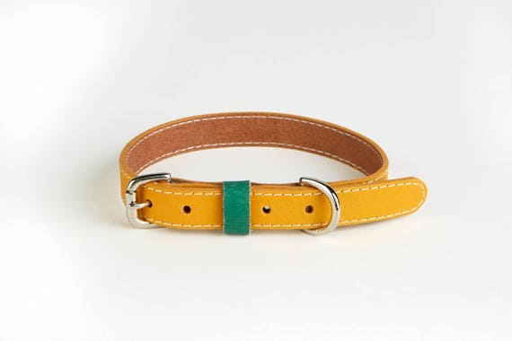 mustard yellow dog collar
