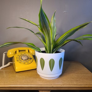 May include: A yellow rotary phone with a white cord sits on a wooden table next to a potted plant with green and yellow striped leaves. The plant is in a white ceramic pot with green leaf designs.