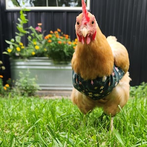 May include: A light brown chicken wearing a dark green fabric diaper featuring a small floral pattern with white, yellow, and pink flowers. The chicken has a bright red comb and wattle, standing upright in a patch of green grass.